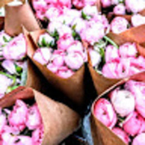 Meet your Posher, Beth